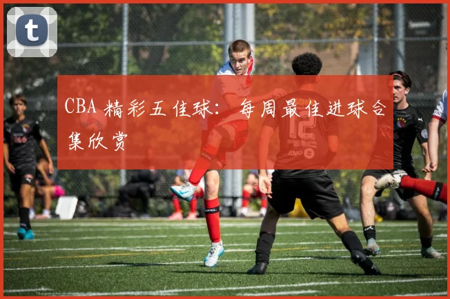 CBA 精彩五佳球:每周最佳进球合集欣赏